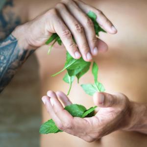  Gel douche 3 en 1 pour homme Energie de la menthe flacon 500 ml