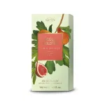 Acqua Colonia Figue & Vétiver eau de Cologne unisexe 100 ml