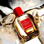 Ambassadora For Women eau de parfum pour femme 100 ml