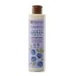 laSaponaria Shampooing antioxydant pour cheveux gris à la myrtille BIO et à l'arginine 200 ml