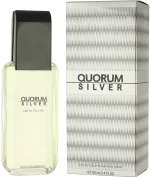 Quorum Silver eau de toilette 100 ml voor mannen