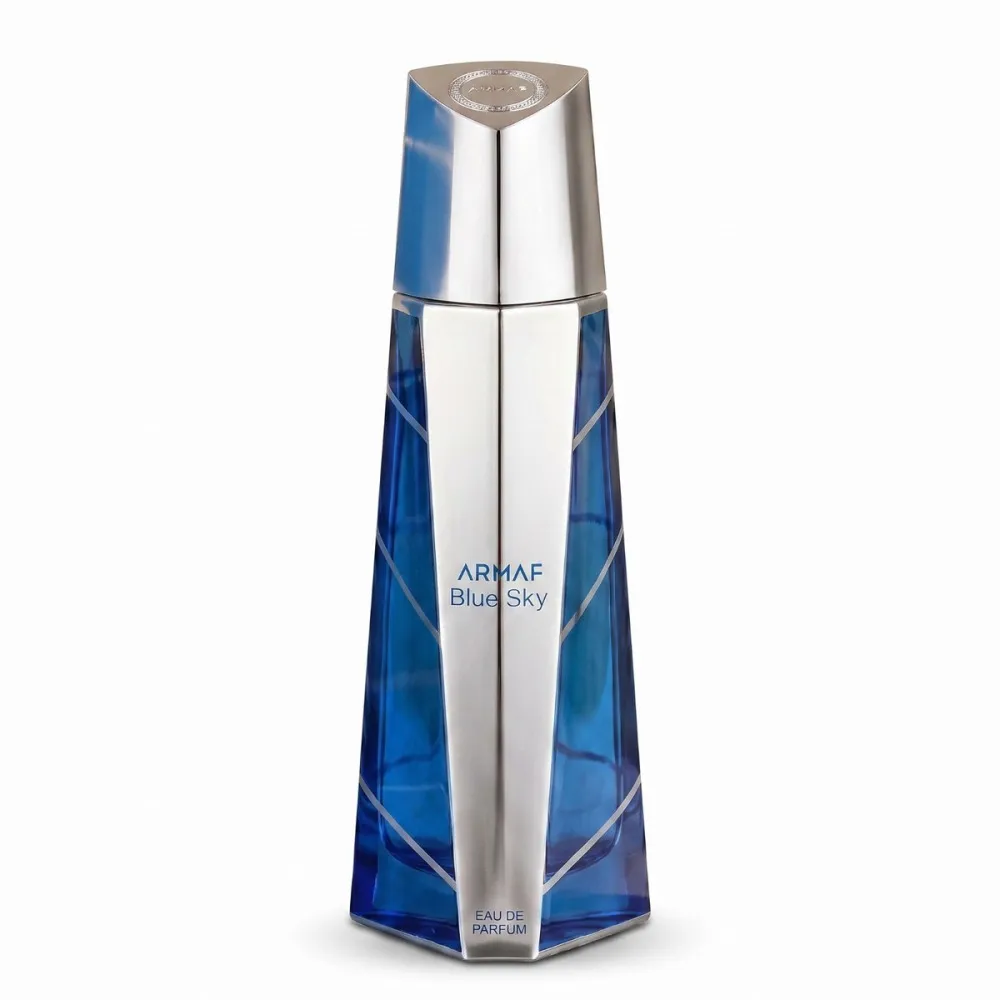 Blue Sky eau de parfum voor mannen 105 ml