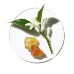 Aromatics in White Eau de Parfum voor dames 100 ml