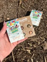 Blossombs Bombes à graines - Coffret cadeau mini - Merci mille fois pour tout (4 pièces) - offrez des fleurs autrement