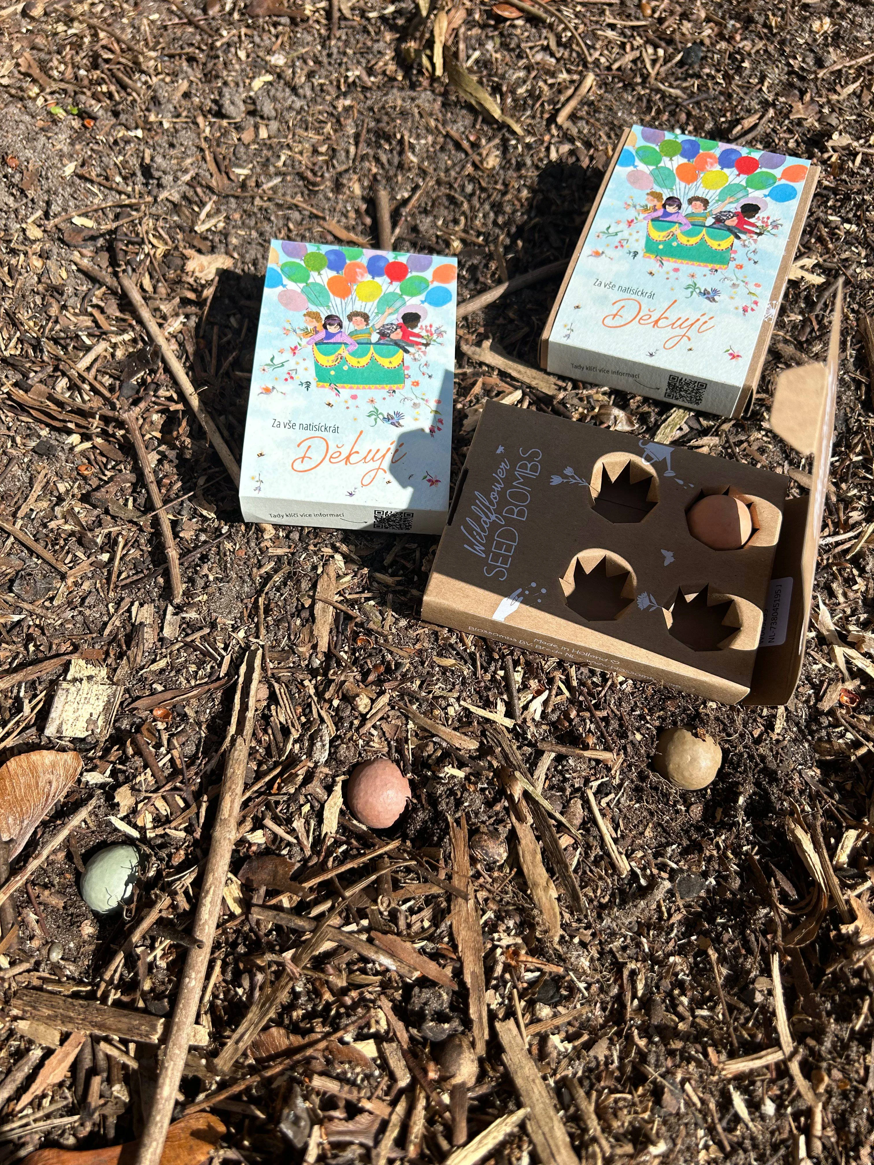 Blossombs Bombes à graines - Coffret cadeau mini - Merci mille fois pour tout (4 pièces) - offrez des fleurs autrement