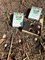 Blossombs Bombes à graines - Coffret cadeau mini - Merci mille fois pour tout (4 pièces) - offrez des fleurs autrement