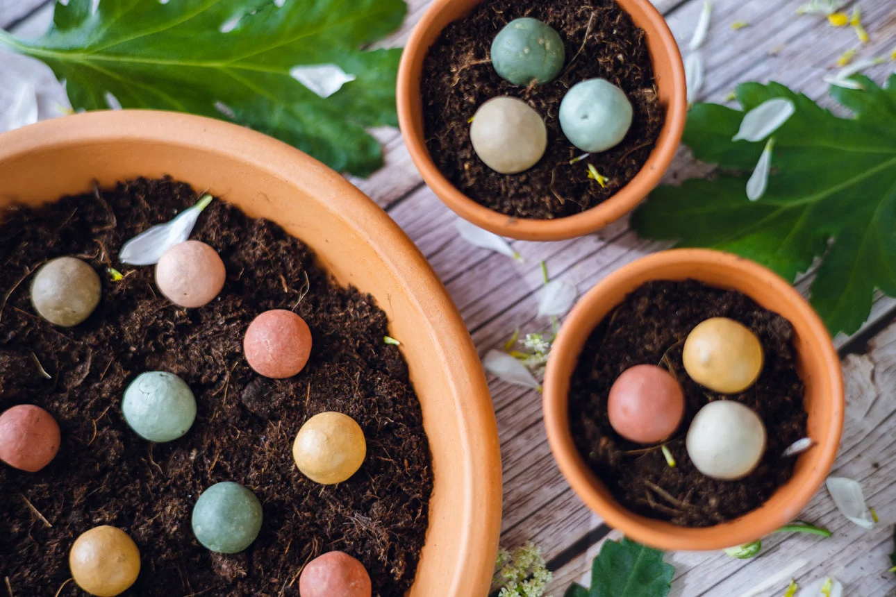 Blossombs Bombes à graines - Coffret cadeau mini - Merci mille fois pour tout (4 pièces) - offrez des fleurs autrement
