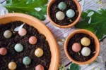 Blossombs Bombes à graines - Coffret cadeau mini - Merci mille fois pour tout (4 pièces) - offrez des fleurs autrement