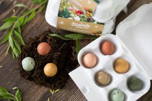 Seed Bombs - Egg Gift Box - Spring (6 pcs) - fleurs des prairies sauvages