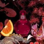Hidden Fantasy eau de parfum voor vrouwen 100 ml