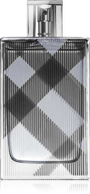 Burberry Brit For Men eau de toilette voor mannen 100 ml