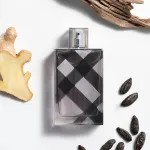 Brit For Men eau de toilette voor mannen 100 ml