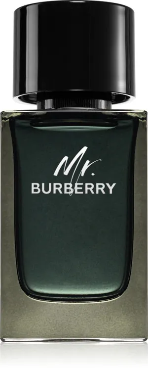 Burberry Mr. Burberry eau de parfum voor mannen 100 ml