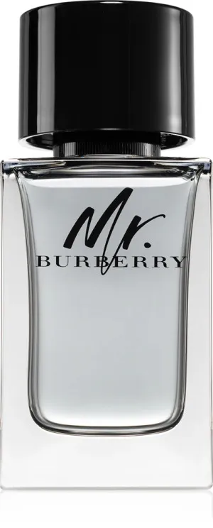 Burberry Mr. Burberry eau de toilette voor mannen 100 ml