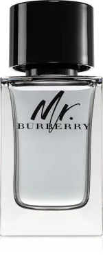 Mr. Burberry eau de toilette voor mannen 100 ml