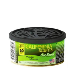 California Scents Car Scents Malibu Melon parfum pour voiture 42 g