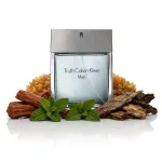 Truth For Men eau de toilette 100 ml voor mannen