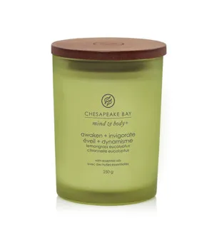 Chesapeake Bay Awaken + Invigorate Lemongrass Eucalyptus bougie parfumée 250 g