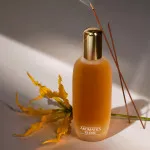 Aromatics Elixir eau de parfum 100 ml voor vrouwen