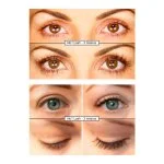 N°1 Sérum extension de cils 6 ml
