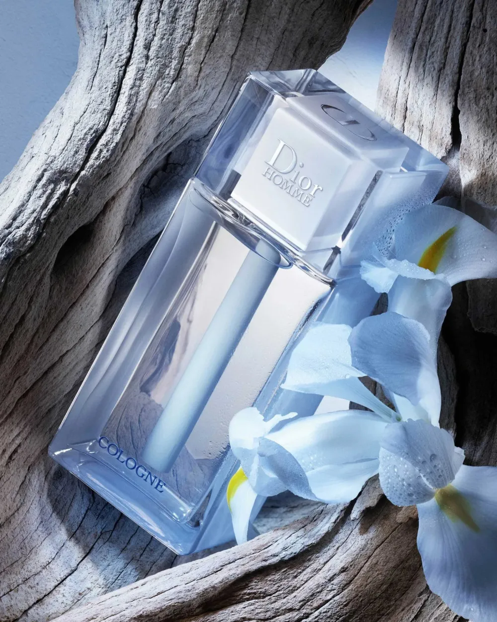 Homme Cologne 2013 eau de cologne voor mannen 75 ml