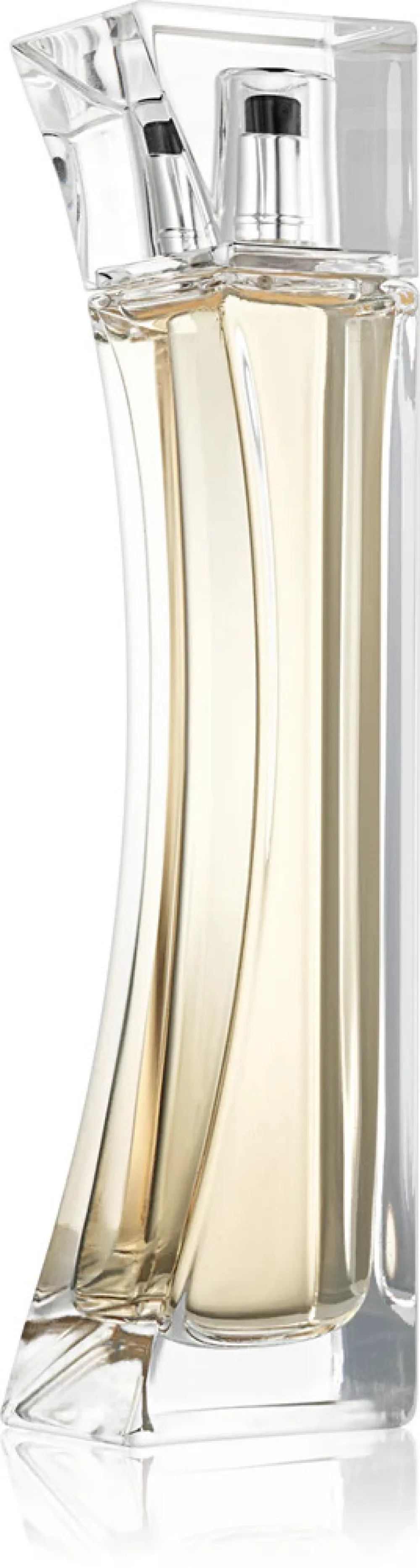 Provocative Woman eau de parfum 100 ml voor vrouwen