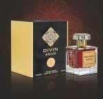 Divin Aoud eau de parfum unisexe 100 ml