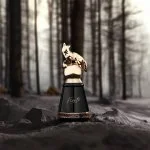 Fierte Eau de Parfum pour homme