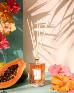 Coffret Papaïa Hibiscus Bâtonnets 1500 ml Vase Transparent - Tfu