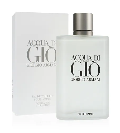 Acqua di Gio Pour Homme eau de toilette voor mannen 100 ml