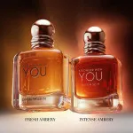 Emporio Armani Stronger With You Absolutely eau de parfum voor mannen 50 ml