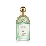 Aqua Allegoria Rosa Verde eau de toilette unisexe 125 ml