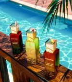 Mangotini U Eau de Parfum 100 ml