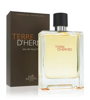 Hermes Terre d'Hermes eau de toilette pour hommes 200 ml