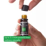 Incognito Citronella etherische olie BIO (10 ml) - ruikt niet naar lastige insecten