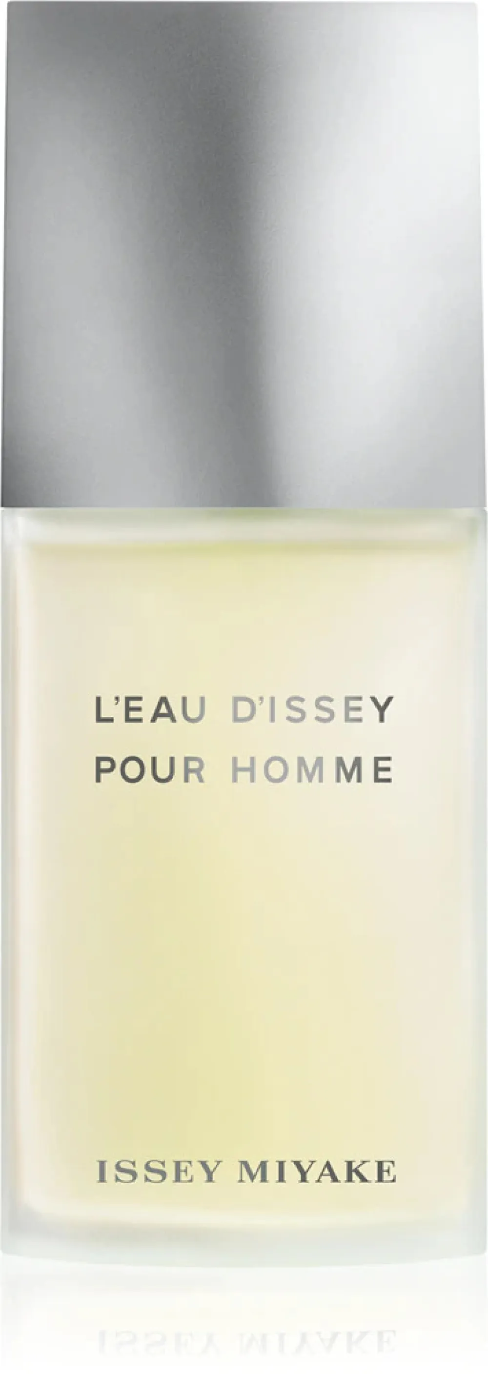 L'Eau D'Issey Pour Homme eau de toilette voor mannen 125 ml