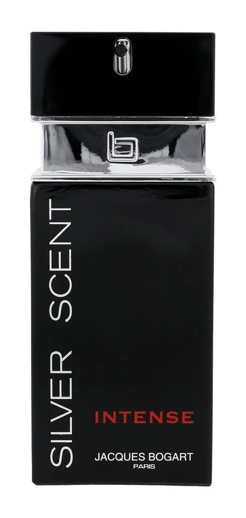 Silver Scent Intense eau de toilette pour homme 100 ml