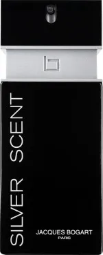 Silver Scent eau de toilette voor mannen 100 ml