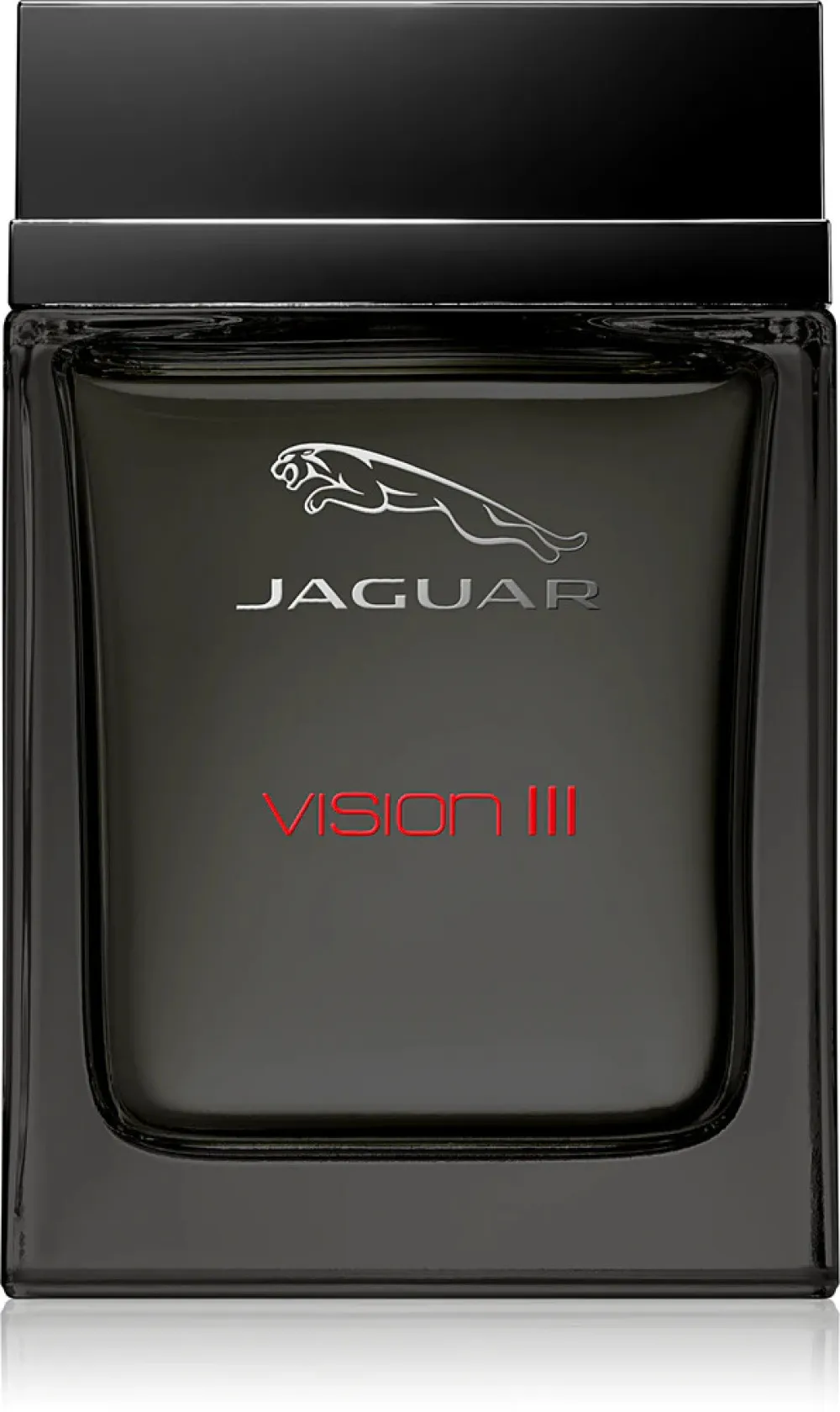 Vision III eau de toilette voor mannen 100 ml