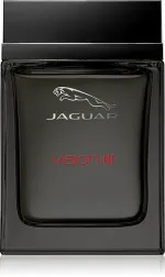 Vision III eau de toilette voor mannen 100 ml