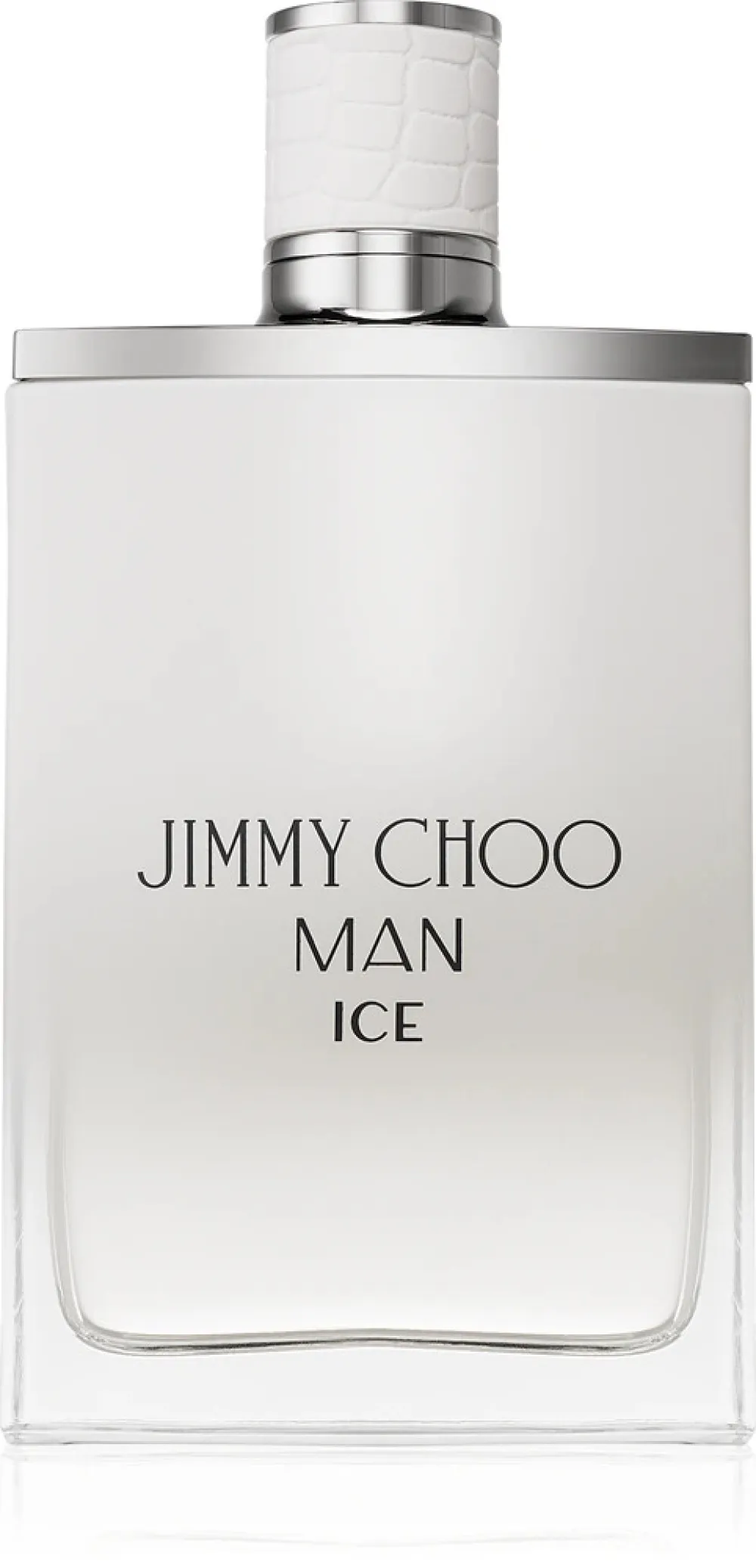 Man Ice eau de toilette voor mannen 100 ml