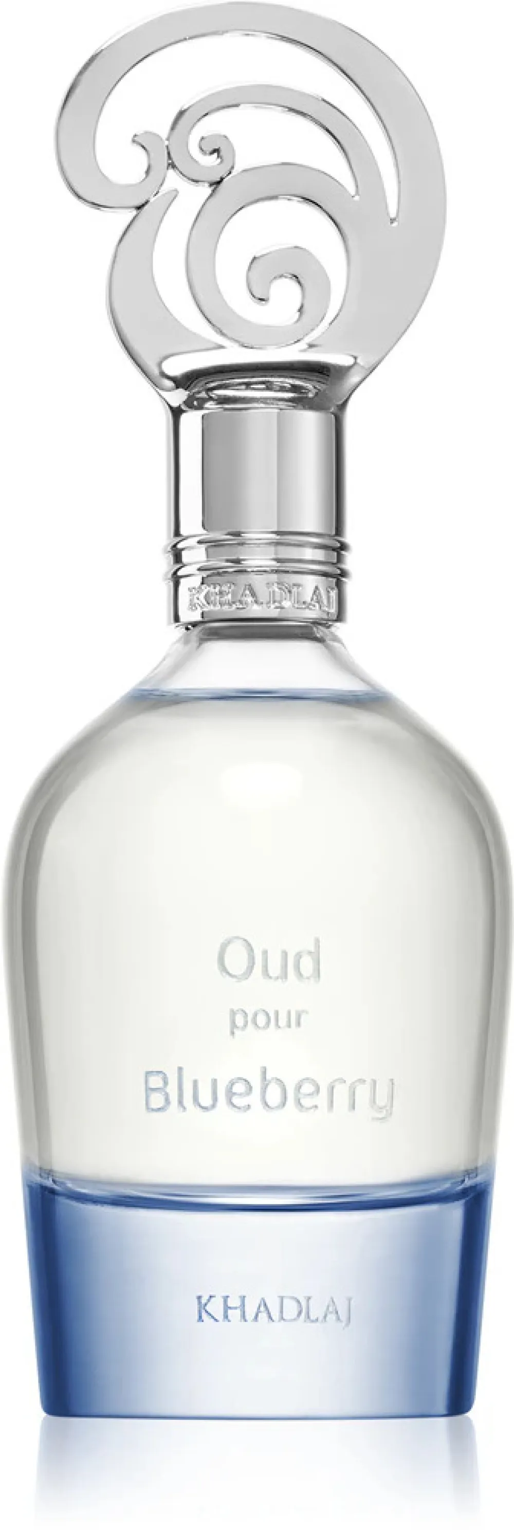 Oud Pour Blueberry parfum unisex 100 ml