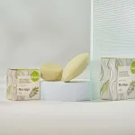 Kvitok Vaste shampoo met antiroosconditioner Moringa (25 g) - glanzend, roosvrij haar