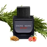 Encre Noire Sport eau de toilette voor mannen 100 ml