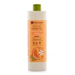 laSaponaria Gel douche et shampooing 2-en-1 à l’orange BIO et à la vitamine C pour toute la famille 500 ml - au parfum doux et revigorant
