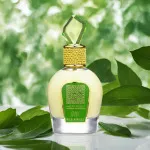 Tameen Collection Musk Wild Vanille eau de parfum voor vrouwen 100 ml