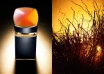 Le Gemme Ambero eau de parfum voor heren 100 ml