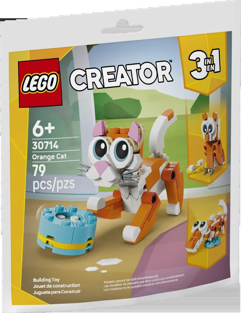 30714 Chat orange