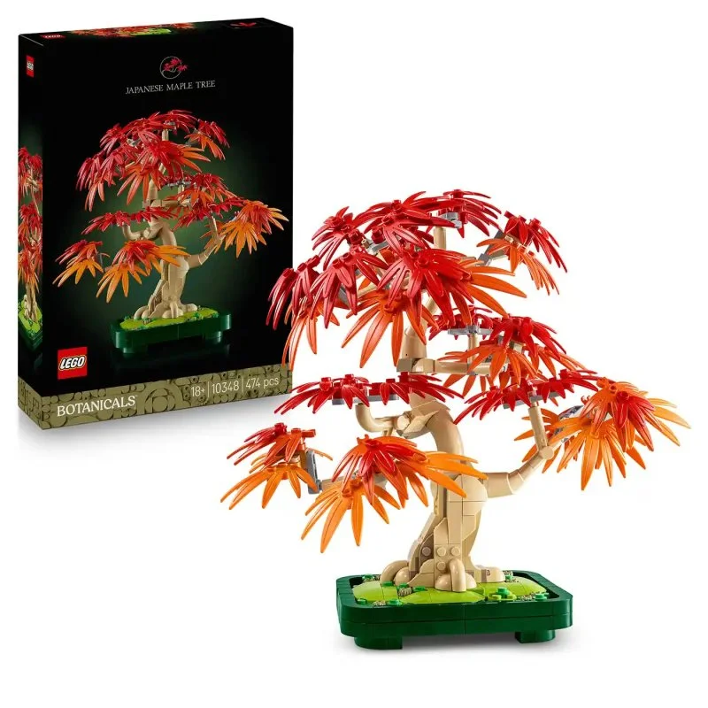 Botanicals 10348 Bonsaï – Érable du Japon rouge