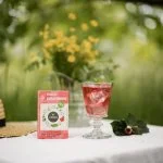 LEROS Mélange de plantes Bucco Cold Brew - sachets d’infusion (20 x 1,5 g) - pour préparer du thé glacé